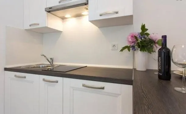 Studio Apartment In Icici With Air Condition, Wifi Croatia